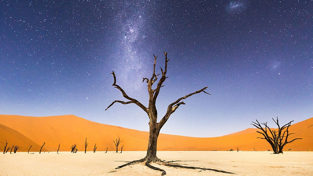 ئه‌و بيست وێنه‌يه‌ى مرۆڤ بڕوا به‌ بينينيان ناكات